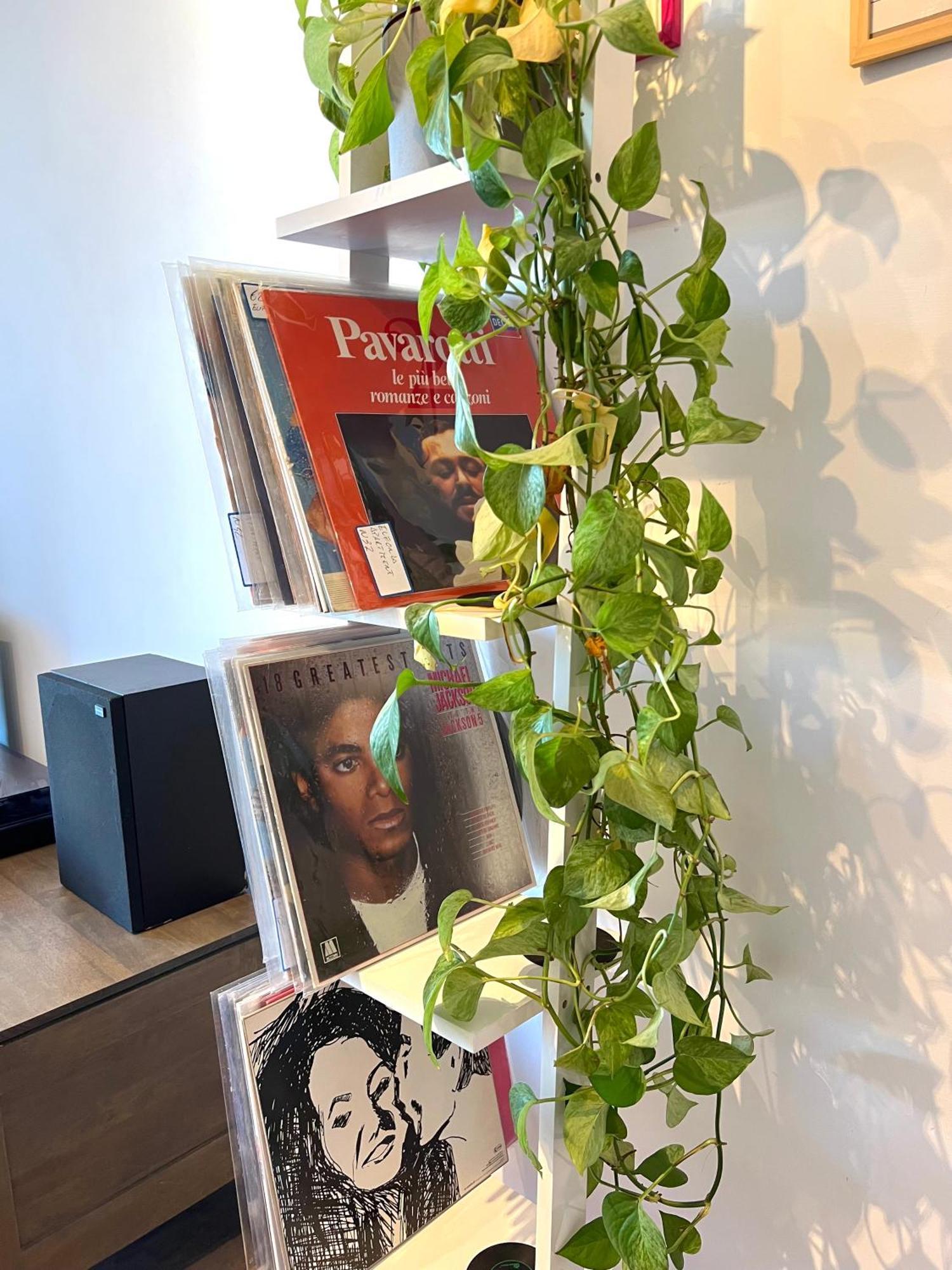 Eufonia Vinyl Friendly Apartment Rom Eksteriør billede