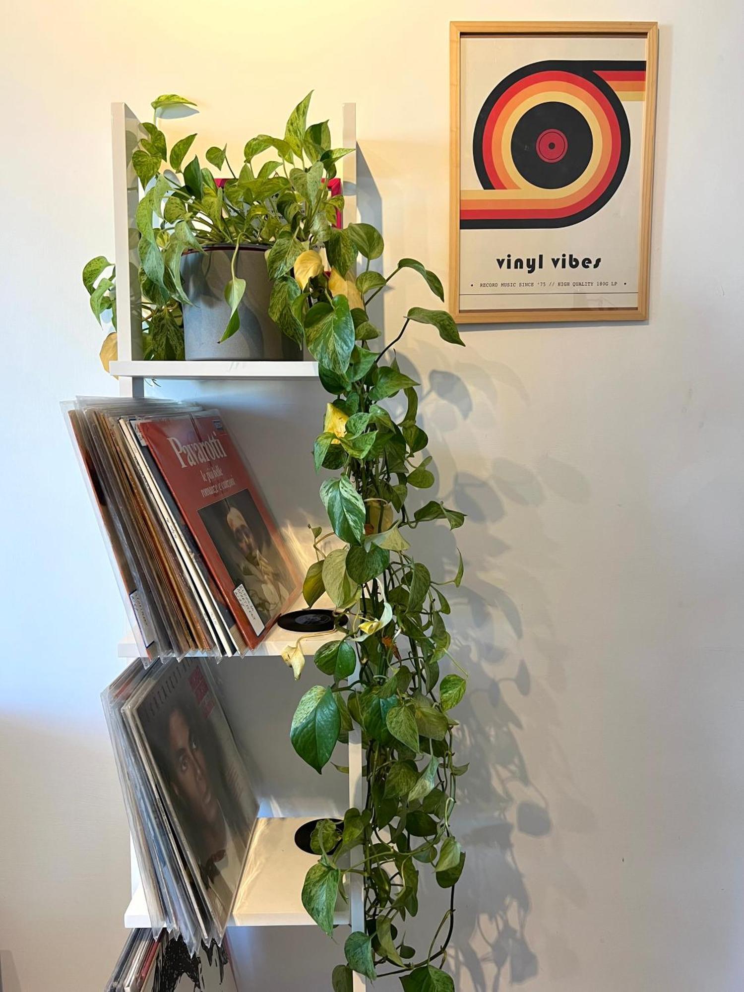 Eufonia Vinyl Friendly Apartment Rom Eksteriør billede